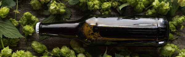 top view of fresh beer in brown bottle with green hop on wooden background, panoramic shot