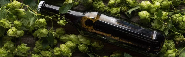 Top Uitzicht Van Bier Bruine Fles Buurt Van Groene Hop — Stockfoto