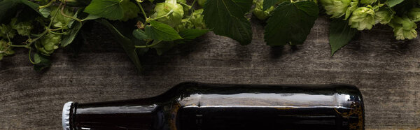 top view of beer in brown bottle near hop on wooden background, panoramic shot