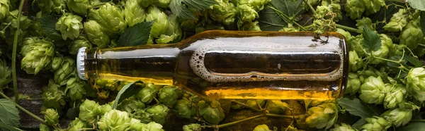 木製の背景に緑のホップ上のボトルのビールのトップビュー パノラマショット — ストック写真