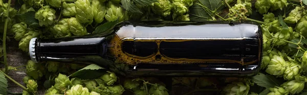 木製の背景に緑のホップ上の茶色のボトルのビールのトップビュー パノラマショット — ストック写真