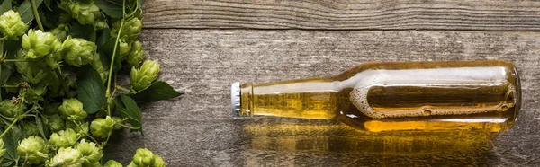 木製の背景に緑のホップの近くに瓶詰め新鮮なビールのトップビュー パノラマショット — ストック写真