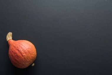 kopya alanı ile siyah arka plan üzerinde Halloween kabak üst görünümü