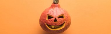 turuncu arka planda korkunç Halloween kabak panoramik çekim