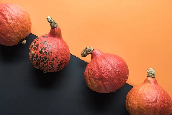 Bovenaanzicht Van Rijpe Pompoenen Oranje Zwarte Achtergrond — Stockfoto