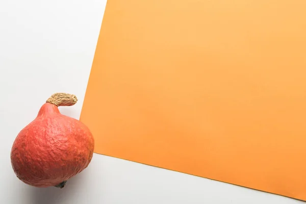 Top View Ripe Pumpkin White Orange Background — Stock Photo, Image