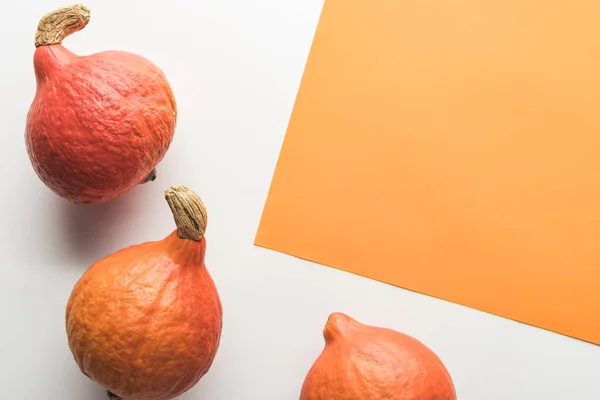 Vista Dall Alto Delle Zucche Sfondo Bianco Arancione — Foto Stock