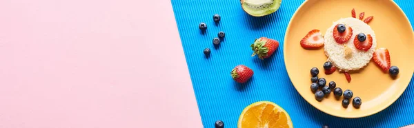 Top View Plate Fancy Animal Made Food Blue Pink Background — Stock Photo, Image