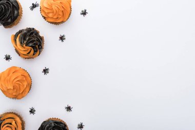 kopya alanı ile beyaz arka plan üzerinde örümcekler ile lezzetli Halloween cupcakes üst görünümü