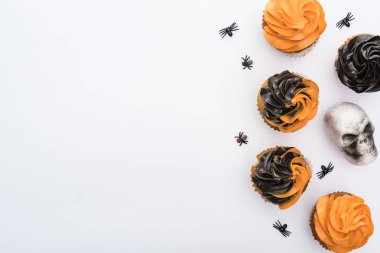 kopya alanı ile beyaz arka plan üzerinde örümcekler ve kafatası ile lezzetli Halloween cupcakes üst görünümü
