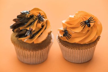 turuncu arka plan üzerinde sinek ler ve örümcekler ile korkunç Halloween cupcakes