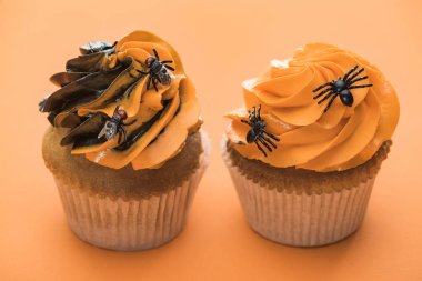 scary Halloween cupcakes with flies and spiders on orange background clipart