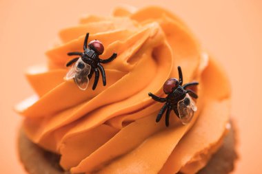 close up view of spooky Halloween cupcake with flies on cream isolated on orange clipart