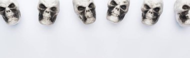 kopya alanı ile beyaz arka plan dekoratif kafatasları üst görünümü, panoramik çekim