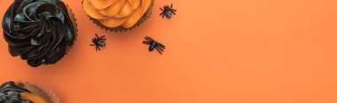 kopya alanı, panoramik çekim ile turuncu arka plan üzerinde örümcekler ile lezzetli Halloween cupcakes üst görünümü