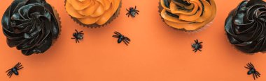 kopya alanı, panoramik çekim ile turuncu arka plan üzerinde örümcekler ile lezzetli Halloween cupcakes üst görünümü