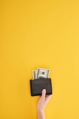 Sarı arka planda dolar banknotları olan cüzdan tutan kadın manzarası.
