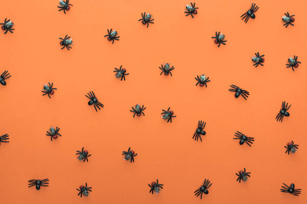 top view of scary spiders on orange background