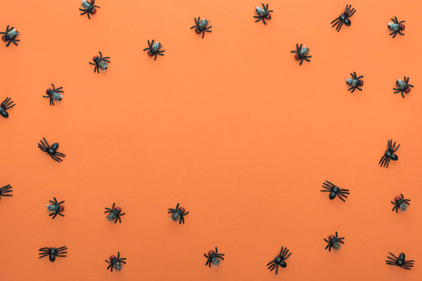 top view of scary spiders on orange background with copy space