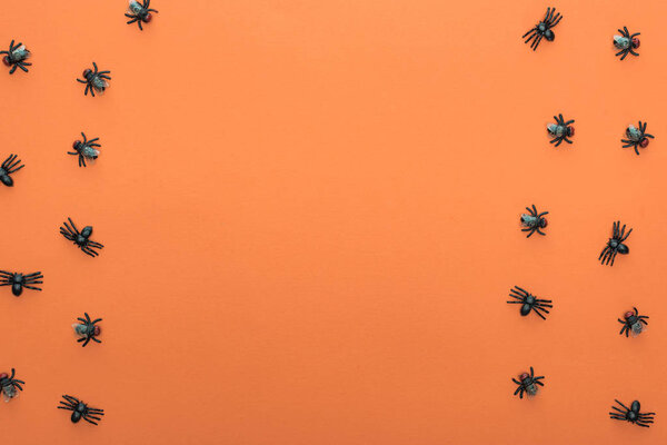 top view of scary spiders on orange background with copy space
