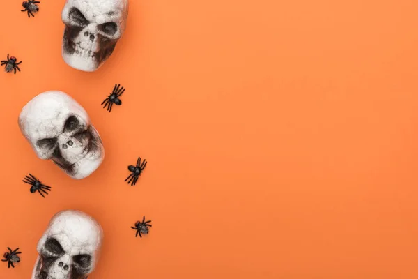 Top View Decorative Skulls Spiders Orange Background Copy Space — Stock Photo, Image