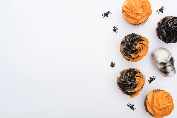 Felülnézet Ízletes Halloween Cupcakes Pókok Koponya Fehér Háttérrel Másolási Tér — Stock Fotó