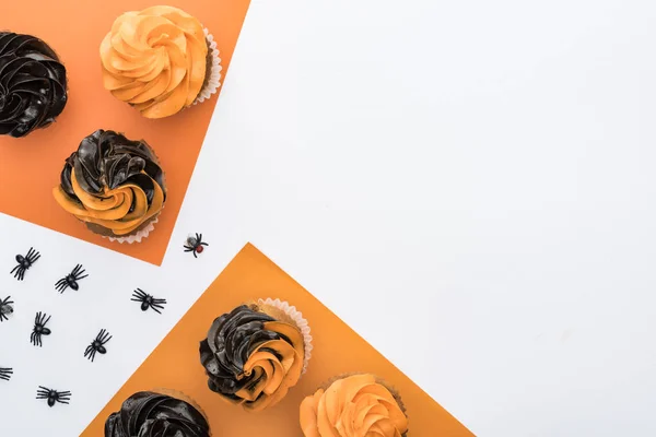 美味的万圣节纸杯蛋糕与蜘蛛在橙色和白色背景与复制空间的顶视图 — 图库照片