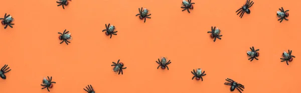 Top View Scary Spiders Orange Background Panoramic Shot — Stock Photo, Image