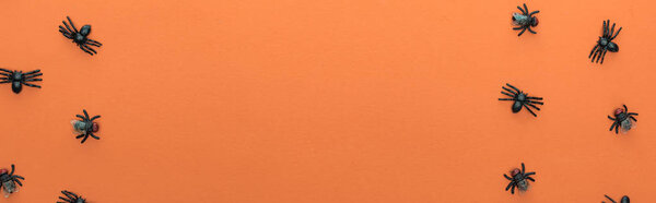 top view of scary spiders on orange background with copy space, panoramic shot