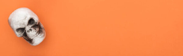 top view of decorative skull on orange background with copy space, panoramic shot