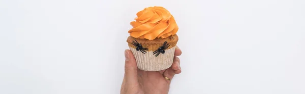 Partial View Woman Holding Delicious Halloween Cupcake Isolated White Panoramic — Stock Photo, Image