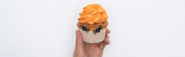 Visão Parcial Mulher Segurando Delicioso Cupcake Halloween Isolado Branco Tiro — Fotografia de Stock