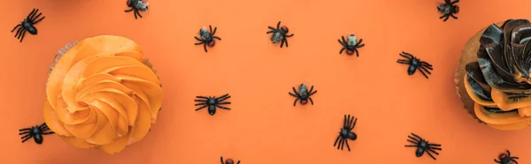 Вид Зверху Смачні Кекси Хеллоуїн Павуки Помаранчевому Фоні Місцем Тексту — стокове фото