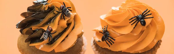 Tasty Halloween Cupcakes Spiders Orange Background Panoramic Shot — Stock Photo, Image