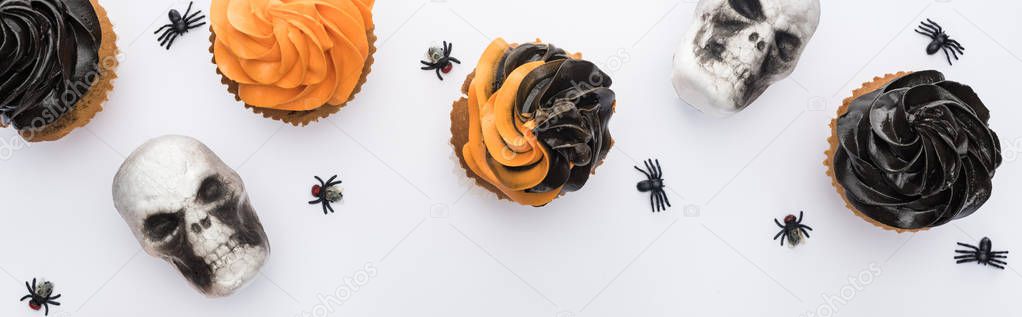 top view of delicious Halloween cupcakes with spiders and skulls on white background with copy space, panoramic shot