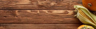 kahverengi ahşap yüzeyüzerinde ham tatlı mısır ve kabak panoramik çekim