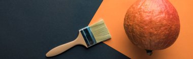siyah ve turuncu arka planda paintbrush yakın kabak panoramik çekim