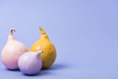mor arka plan üzerinde boyalı şenlikli kabaklar