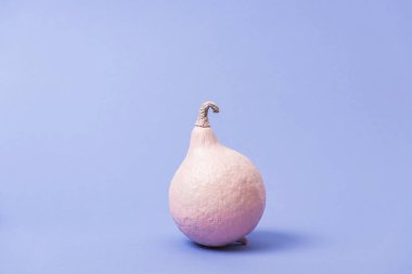 mor arka plan üzerinde şenlikli boyalı kabak