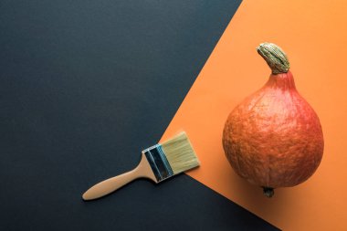 siyah ve turuncu arka planda paintbrush yakın kabak üst görünümü