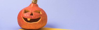 panoramic shot of Halloween spooky pumpkin on violet and yellow background clipart