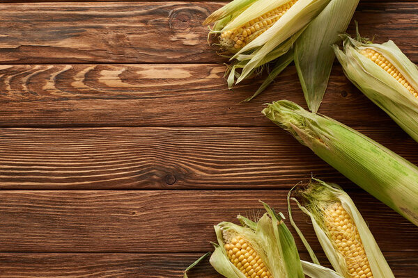 top view of raw sweet corn on brown wooden surface