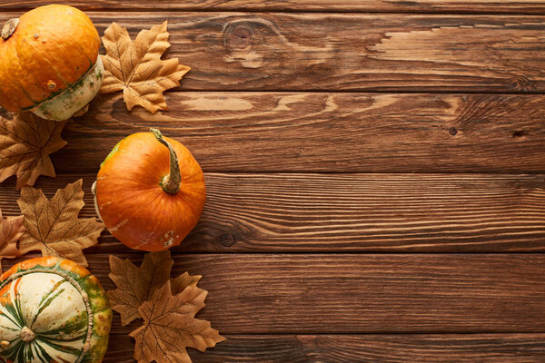 top view of small pumpkins on brown wooden surface with dried autumn leaves