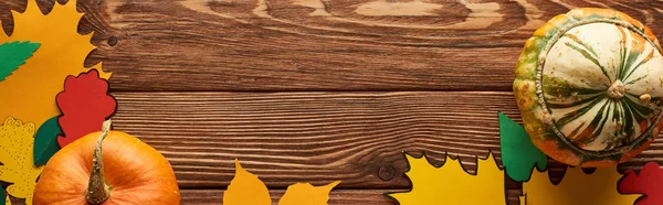 Panoramic Shot Pumpkins Wooden Surface Color Paper Leaves — Stock Photo, Image