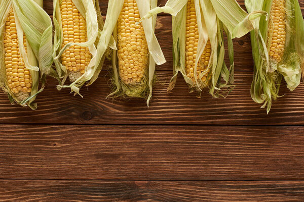 top view of uncooked sweet corn on brown wooden surface with copy space