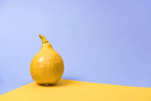 Желтая Окрашенная Тыква Фиолетовом Желтом Фоне — стоковое фото