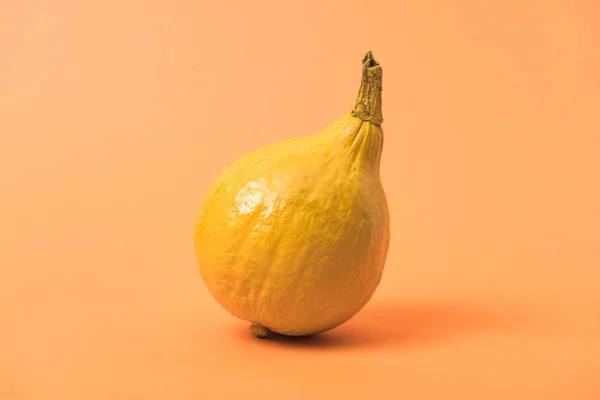 Calabaza Amarilla Pintada Sobre Fondo Color Naranja — Foto de Stock