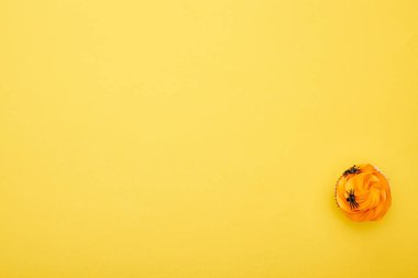 sarı arka plan üzerinde örümcekler ile turuncu cupcake üst görünümü, Cadılar Bayramı tedavi