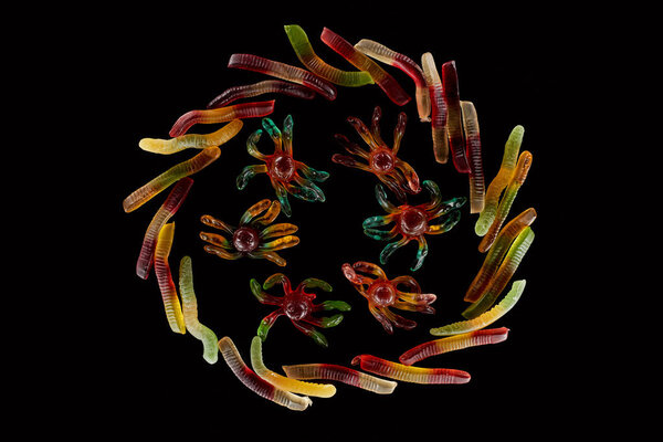 top view of colorful gummy spiders in circle of worms isolated on black, Halloween treat