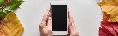 Beyaz yüzeyde renkli sonbahar yapraklarının yanında akıllı telefon tutan bir kadın görüntüsü.